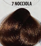 7 NOCCIOLA