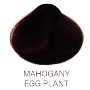Mahogany Egg Plant